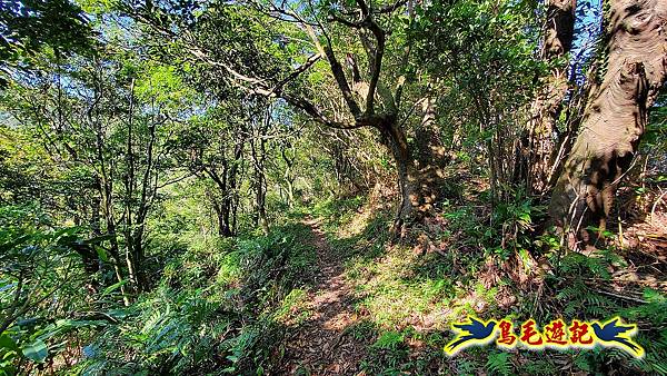 四腳亭車站-粗坑口尖-碇內尖(砲台遺址)-龍門山-粗坑頭山-滴水山O形 (13).jpg