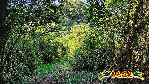 四腳亭車站-粗坑口尖-碇內尖(砲台遺址)-龍門山-粗坑頭山-滴水山O形 (17).jpg