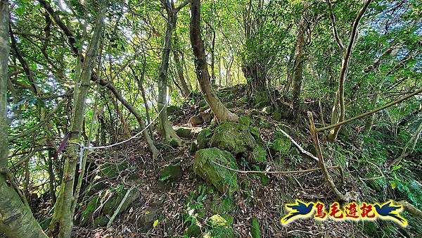 四腳亭車站-粗坑口尖-碇內尖(砲台遺址)-龍門山-粗坑頭山-滴水山O形 (21).jpg