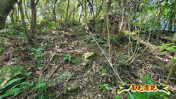 四腳亭車站-粗坑口尖-碇內尖(砲台遺址)-龍門山-粗坑頭山-滴水山O形 (36).jpg