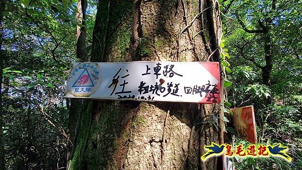 四腳亭車站-粗坑口尖-碇內尖(砲台遺址)-龍門山-粗坑頭山-滴水山O形 (40).jpg