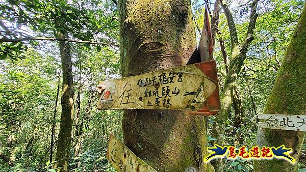 四腳亭車站-粗坑口尖-碇內尖(砲台遺址)-龍門山-粗坑頭山-滴水山O形 (49).jpg