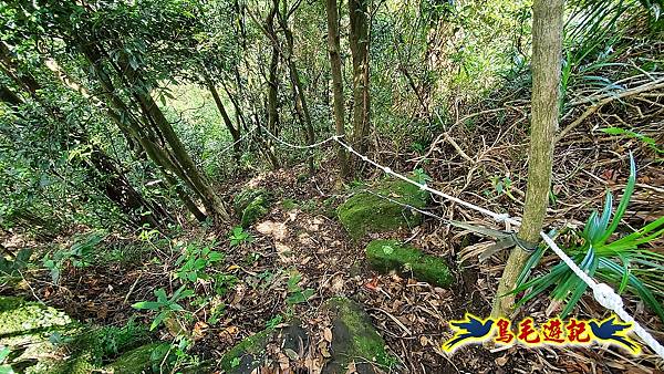 四腳亭車站-粗坑口尖-碇內尖(砲台遺址)-龍門山-粗坑頭山-滴水山O形 (72).jpg