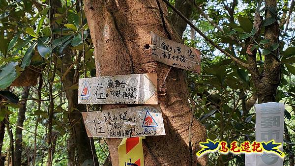 金沙灣-美艷山-火炎山-新厝山-澳底縱走 (8).jpg