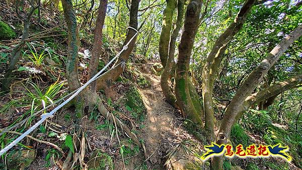 金沙灣-美艷山-火炎山-新厝山-澳底縱走 (25).jpg