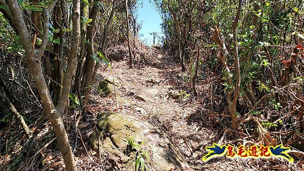 金沙灣-美艷山-火炎山-新厝山-澳底縱走 (29).jpg