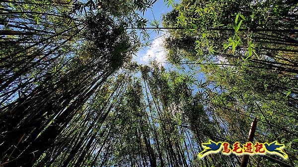 金沙灣-美艷山-火炎山-新厝山-澳底縱走 (36).jpg