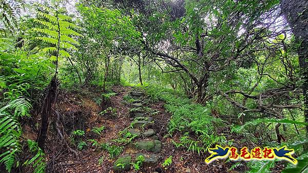 汐止加壽橋-槓尾山-四分尾山-茄冬古道O形 (6).jpg