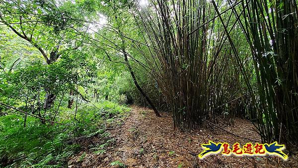 汐止加壽橋-槓尾山-四分尾山-茄冬古道O形 (16).jpg