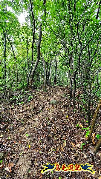 汐止加壽橋-槓尾山-四分尾山-茄冬古道O形 (19).jpg