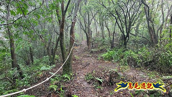 汐止加壽橋-槓尾山-四分尾山-茄冬古道O形 (36).jpg