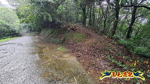 汐止加壽橋-槓尾山-四分尾山-茄冬古道O形 (34).jpg