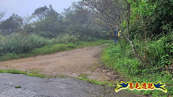 汐止加壽橋-槓尾山-四分尾山-茄冬古道O形 (39).jpg