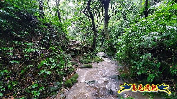 汐止加壽橋-槓尾山-四分尾山-茄冬古道O形 (47).jpg