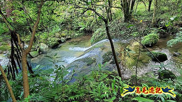 咸豐嶺古道-三抱竹鞍-峰頭尖山下白石後仙洞-東勢格越嶺古道O形  (6).jpg