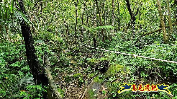 咸豐嶺古道-三抱竹鞍-峰頭尖山下白石後仙洞-東勢格越嶺古道O形  (10).jpg