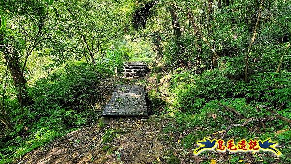 咸豐嶺古道-三抱竹鞍-峰頭尖山下白石後仙洞-東勢格越嶺古道O形  (8).jpg