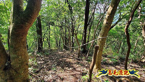 咸豐嶺古道-三抱竹鞍-峰頭尖山下白石後仙洞-東勢格越嶺古道O形  (25).jpg