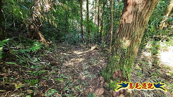 咸豐嶺古道-三抱竹鞍-峰頭尖山下白石後仙洞-東勢格越嶺古道O形  (34).jpg