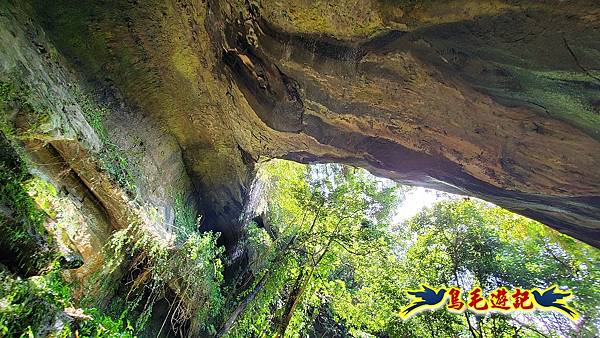 咸豐嶺古道-三抱竹鞍-峰頭尖山下白石後仙洞-東勢格越嶺古道O形  (45).jpg