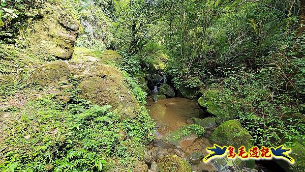 咸豐嶺古道-三抱竹鞍-峰頭尖山下白石後仙洞-東勢格越嶺古道O形  (67).jpg