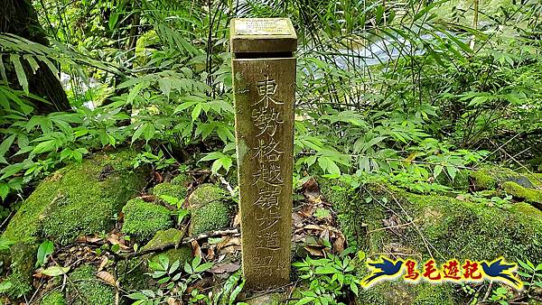 咸豐嶺古道-三抱竹鞍-峰頭尖山下白石後仙洞-東勢格越嶺古道O形  (74).jpg