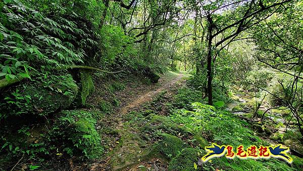 咸豐嶺古道-三抱竹鞍-峰頭尖山下白石後仙洞-東勢格越嶺古道O形  (75).jpg