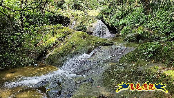 咸豐嶺古道-三抱竹鞍-峰頭尖山下白石後仙洞-東勢格越嶺古道O形  (77).jpg