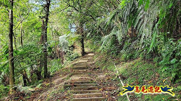 咸豐嶺古道-三抱竹鞍-峰頭尖山下白石後仙洞-東勢格越嶺古道O形  (78).jpg