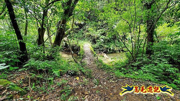 咸豐嶺古道-三抱竹鞍-峰頭尖山下白石後仙洞-東勢格越嶺古道O形  (81).jpg