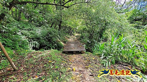 咸豐嶺古道-三抱竹鞍-峰頭尖山下白石後仙洞-東勢格越嶺古道O形  (80).jpg