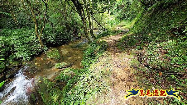 咸豐嶺古道-三抱竹鞍-峰頭尖山下白石後仙洞-東勢格越嶺古道O形  (79).jpg