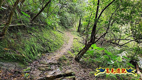 咸豐嶺古道-三抱竹鞍-峰頭尖山下白石後仙洞-東勢格越嶺古道O形  (83).jpg