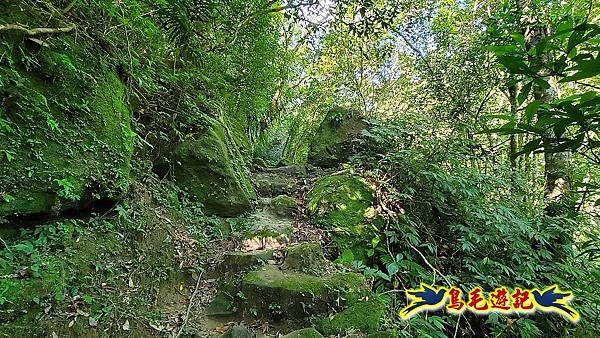 石碇摸乳巷古道溪邊寮山西帽子岩出山羊洞步道口 (7).jpg