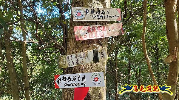 石碇摸乳巷古道溪邊寮山西帽子岩出山羊洞步道口 (20).jpg