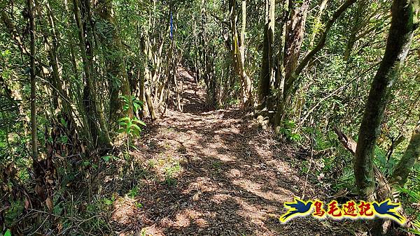 石碇摸乳巷古道溪邊寮山西帽子岩出山羊洞步道口 (23).jpg