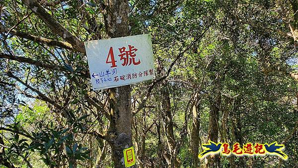 石碇摸乳巷古道溪邊寮山西帽子岩出山羊洞步道口 (35).jpg