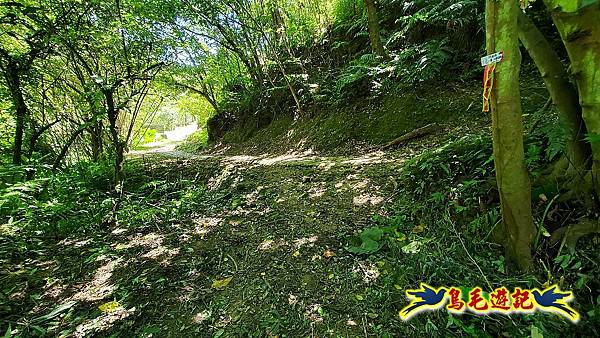 石碇摸乳巷古道溪邊寮山西帽子岩出山羊洞步道口 (43).jpg