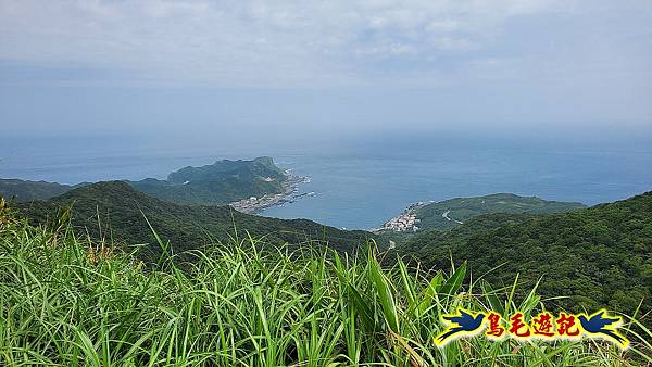 龍洞灣岬步道-和美山訪龍爪花 (42).jpg