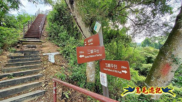 彰化社頭鄉中央嶺造林步道%26;長青自行車道 (21).jpg