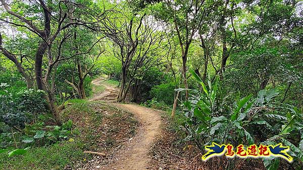 鶯歌石牛灶山龜公山孫龍步道O形 (22).jpg