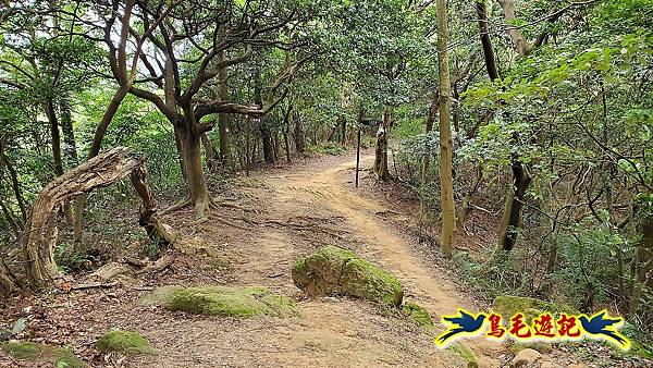 鶯歌石牛灶山龜公山孫龍步道O形 (21).jpg