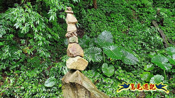 汐止光明寺十三分山白雲寺白匏湖山白匏湖出南港橫科 (38).jpg