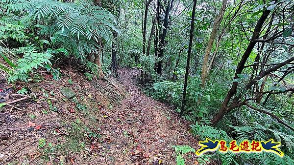 汐止光明寺十三分山白雲寺白匏湖山白匏湖出南港橫科 (42).jpg