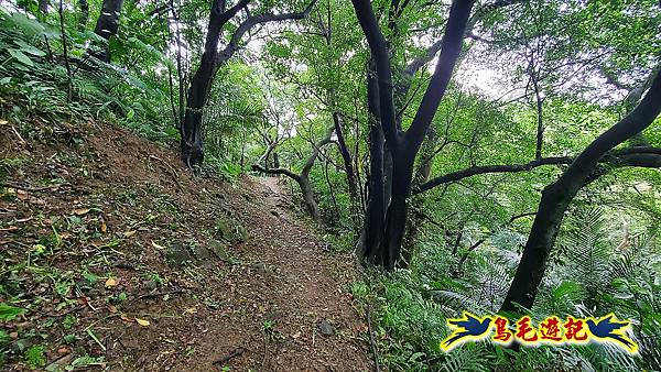 汐止光明寺十三分山白雲寺白匏湖山白匏湖出南港橫科 (52).jpg