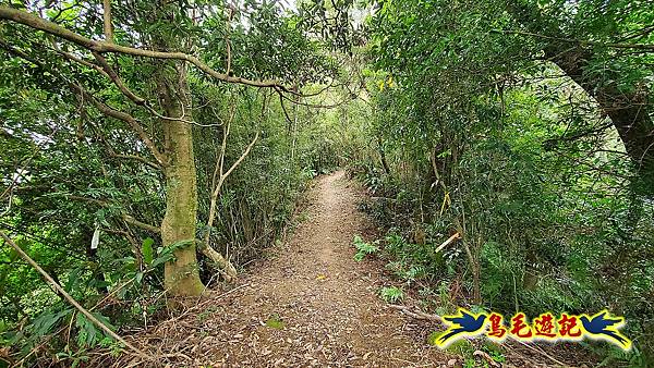 大溪龍山寺二鬮山稜線大小石牛山出永福宮 (11).jpg