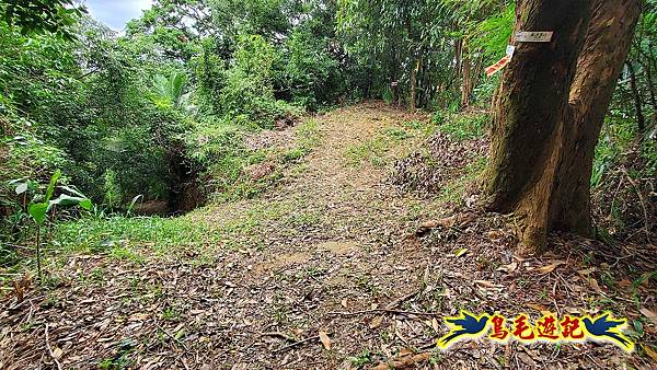 大溪龍山寺二鬮山稜線大小石牛山出永福宮 (14).jpg