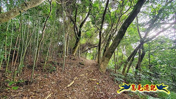 大溪龍山寺二鬮山稜線大小石牛山出永福宮 (24).jpg