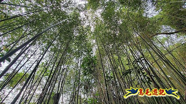 大溪龍山寺二鬮山稜線大小石牛山出永福宮 (25).jpg