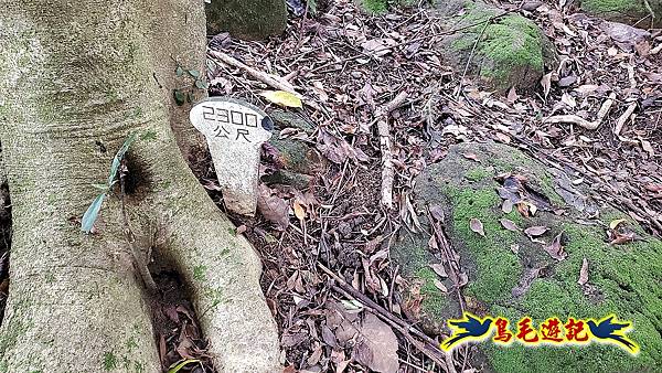 大溪龍山寺二鬮山稜線大小石牛山出永福宮 (30).jpg